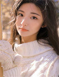 美少女战士第5部国语版